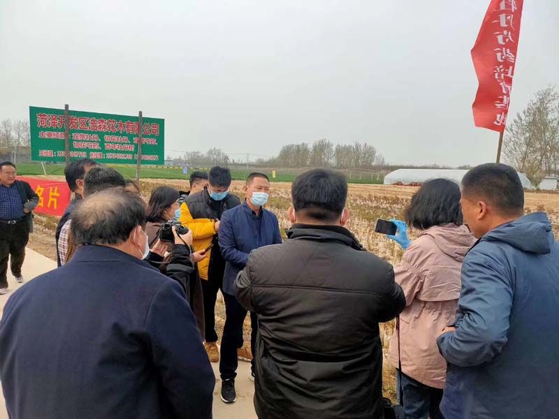 市牡丹產(chǎn)業(yè)中心、市宣傳部的領(lǐng)導(dǎo)及各大媒體來公司基地考察指導(dǎo)工作