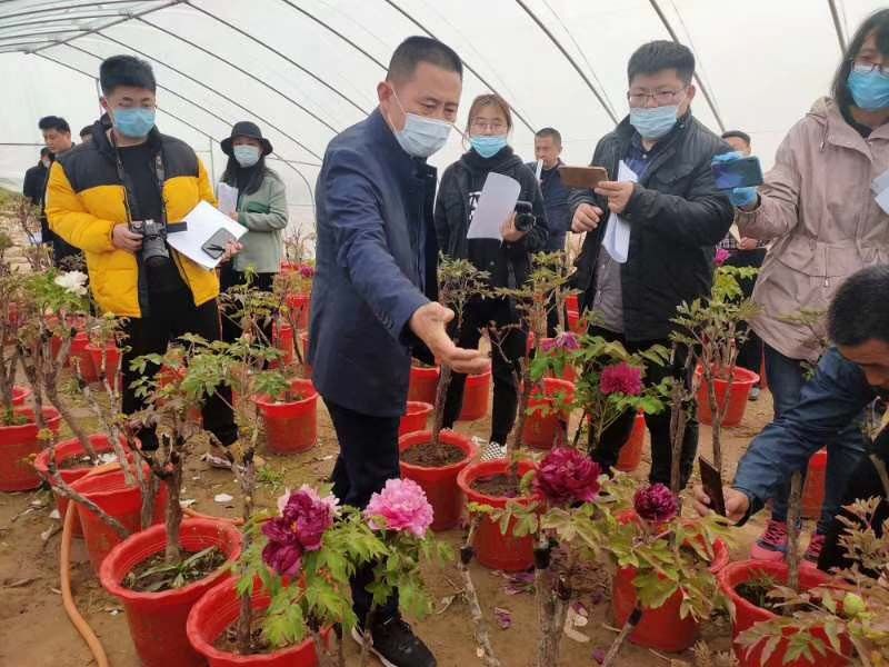 市牡丹產(chǎn)業(yè)中心、市宣傳部的領(lǐng)導(dǎo)及各大媒體來公司基地考察指導(dǎo)工作